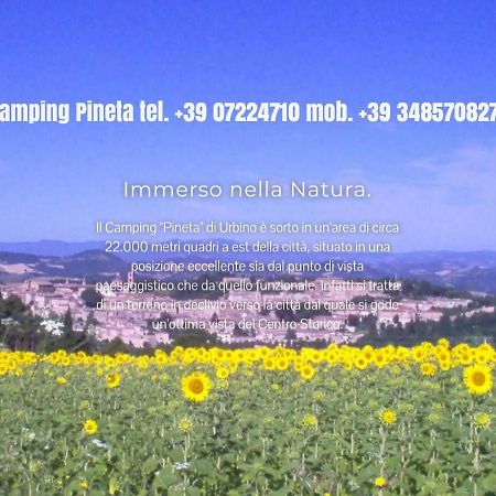 Camping Pineta Hotel Urbino Kültér fotó
